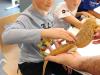 Bioexo_1-2-5-11
